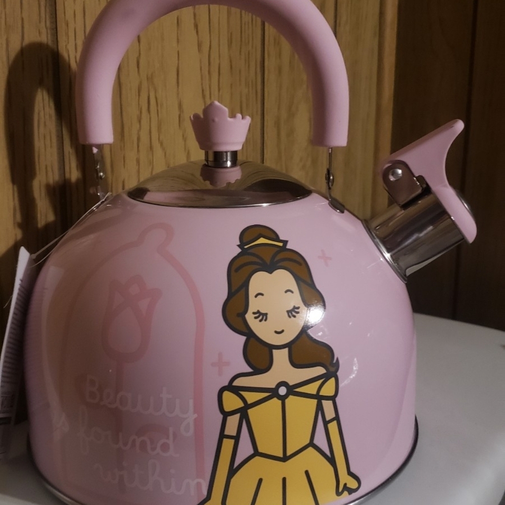Disney Pink Princess Kettle